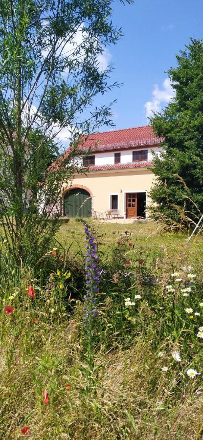 Ferienhof-Kuehn Hochkirch المظهر الخارجي الصورة