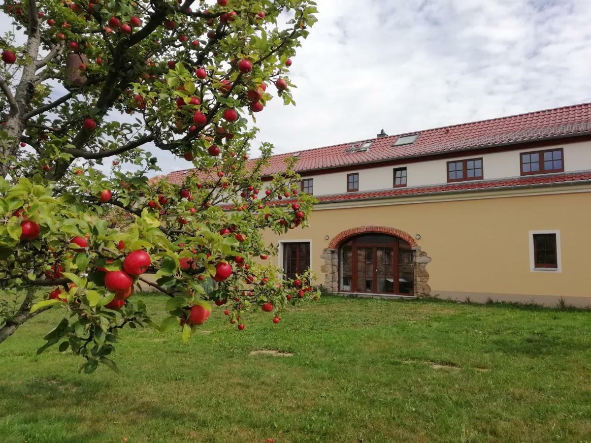 Ferienhof-Kuehn Hochkirch المظهر الخارجي الصورة